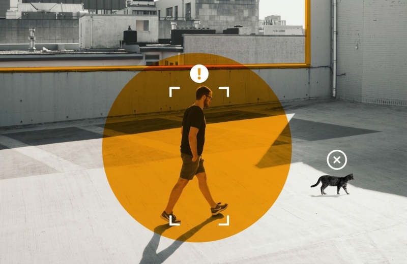 Detection of people and pets in a differential way.